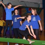 Sokolská akademie zaplnila hlediště písecké haly