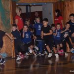 Sokolská akademie zaplnila hlediště písecké haly