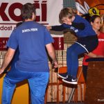 Sokolská akademie zaplnila hlediště písecké haly