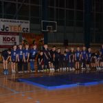 Sokolská akademie zaplnila hlediště písecké haly