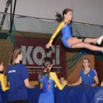 Sokolská akademie zaplnila hlediště písecké haly