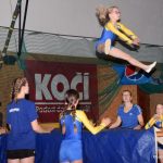 Sokolská akademie zaplnila hlediště písecké haly