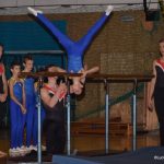 Sokolská akademie zaplnila hlediště písecké haly