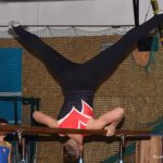 Sokolská akademie zaplnila hlediště písecké haly