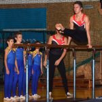 Sokolská akademie zaplnila hlediště písecké haly