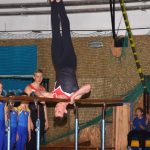 Sokolská akademie zaplnila hlediště písecké haly