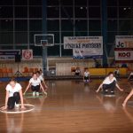 Sokolská akademie zaplnila hlediště písecké haly