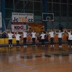 Sokolská akademie zaplnila hlediště písecké haly