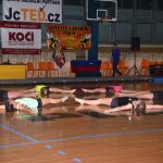 Sokolská akademie zaplnila hlediště písecké haly