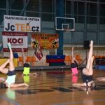 Sokolská akademie zaplnila hlediště písecké haly