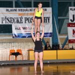 Sokolská akademie zaplnila hlediště písecké haly