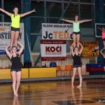 Sokolská akademie zaplnila hlediště písecké haly