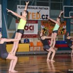 Sokolská akademie zaplnila hlediště písecké haly