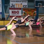 Sokolská akademie zaplnila hlediště písecké haly