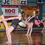 Sokolská akademie zaplnila hlediště písecké haly