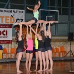 Sokolská akademie zaplnila hlediště písecké haly