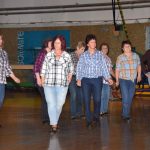 Sokolská akademie zaplnila hlediště písecké haly