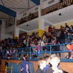 Sokolská akademie zaplnila hlediště písecké haly