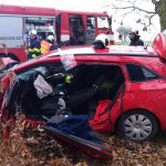 Po srážce s náklaďákem odstřihli hasiči téměř celou levou stranu auta