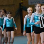 Píseckou sportovní halu zaplnila sokolská gymnastika