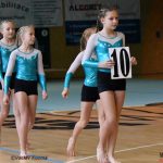 Píseckou sportovní halu zaplnila sokolská gymnastika