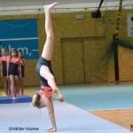 Píseckou sportovní halu zaplnila sokolská gymnastika