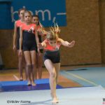Píseckou sportovní halu zaplnila sokolská gymnastika