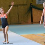 Píseckou sportovní halu zaplnila sokolská gymnastika