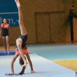 Píseckou sportovní halu zaplnila sokolská gymnastika