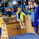 Píseckou sportovní halu zaplnila sokolská gymnastika