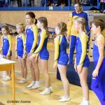 Píseckou sportovní halu zaplnila sokolská gymnastika