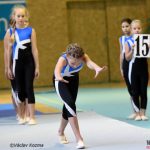 Píseckou sportovní halu zaplnila sokolská gymnastika