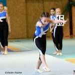 Píseckou sportovní halu zaplnila sokolská gymnastika