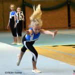 Píseckou sportovní halu zaplnila sokolská gymnastika