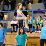 Píseckou sportovní halu zaplnila sokolská gymnastika