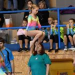 Píseckou sportovní halu zaplnila sokolská gymnastika