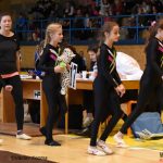 Píseckou sportovní halu zaplnila sokolská gymnastika