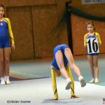 Píseckou sportovní halu zaplnila sokolská gymnastika