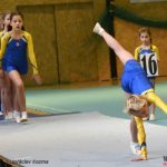 Píseckou sportovní halu zaplnila sokolská gymnastika