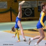 Píseckou sportovní halu zaplnila sokolská gymnastika