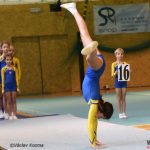 Píseckou sportovní halu zaplnila sokolská gymnastika