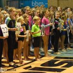 Píseckou sportovní halu zaplnila sokolská gymnastika