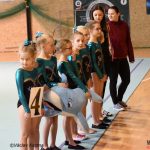 Píseckou sportovní halu zaplnila sokolská gymnastika