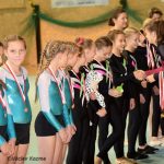 Píseckou sportovní halu zaplnila sokolská gymnastika