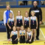 Píseckou sportovní halu zaplnila sokolská gymnastika