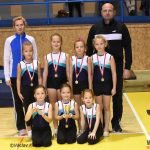 Píseckou sportovní halu zaplnila sokolská gymnastika