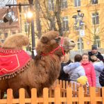 Živý betlém v Písku předznamenal blížící se Vánoce