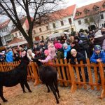 Živý betlém v Písku předznamenal blížící se Vánoce