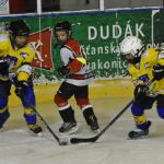 Hokejové čtvrťáky čeká přechod na celé kluziště