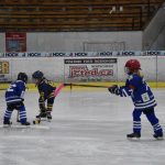 HC Tábor a Lokomotiva Veselí se radovaly na turnaji hokejových nadějí Teplárna cupu